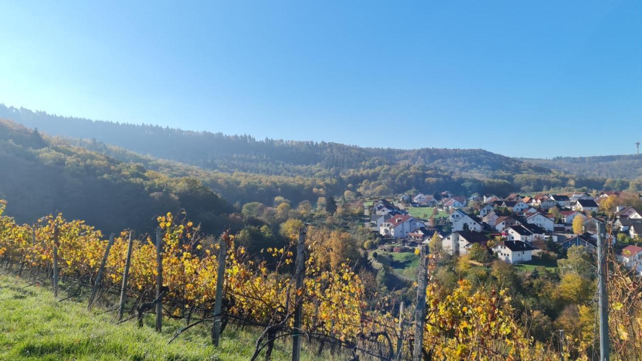 Villa Unter Dem Schloss Cleebronn Εξωτερικό φωτογραφία